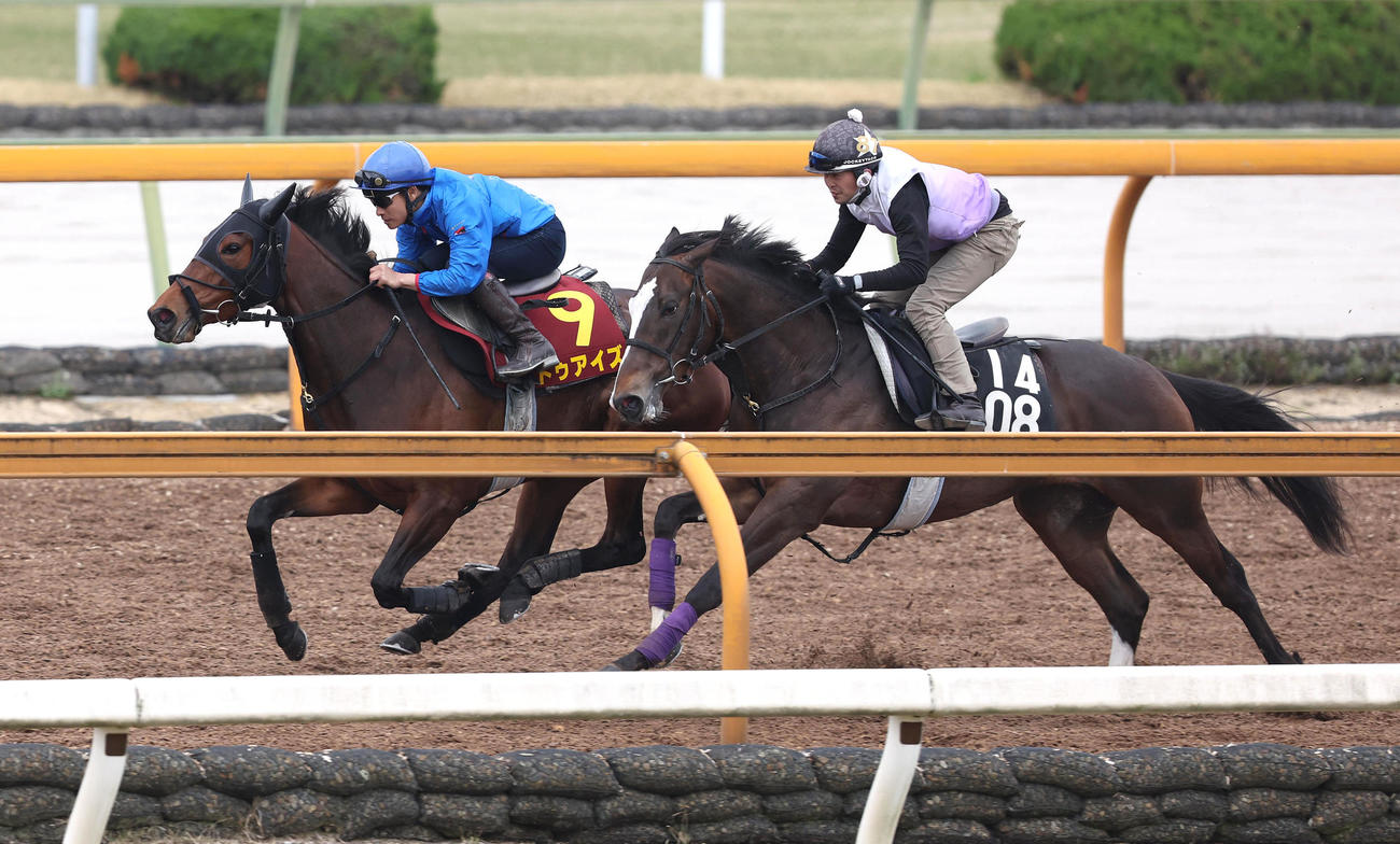 吉田隼人騎手を背にCウッドをカンチェンジュンガ（右）と併せ馬で追い切るドゥアイズ（撮影・白石智彦）