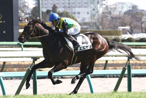 2月26日、3歳1勝クラスを制したエエヤン