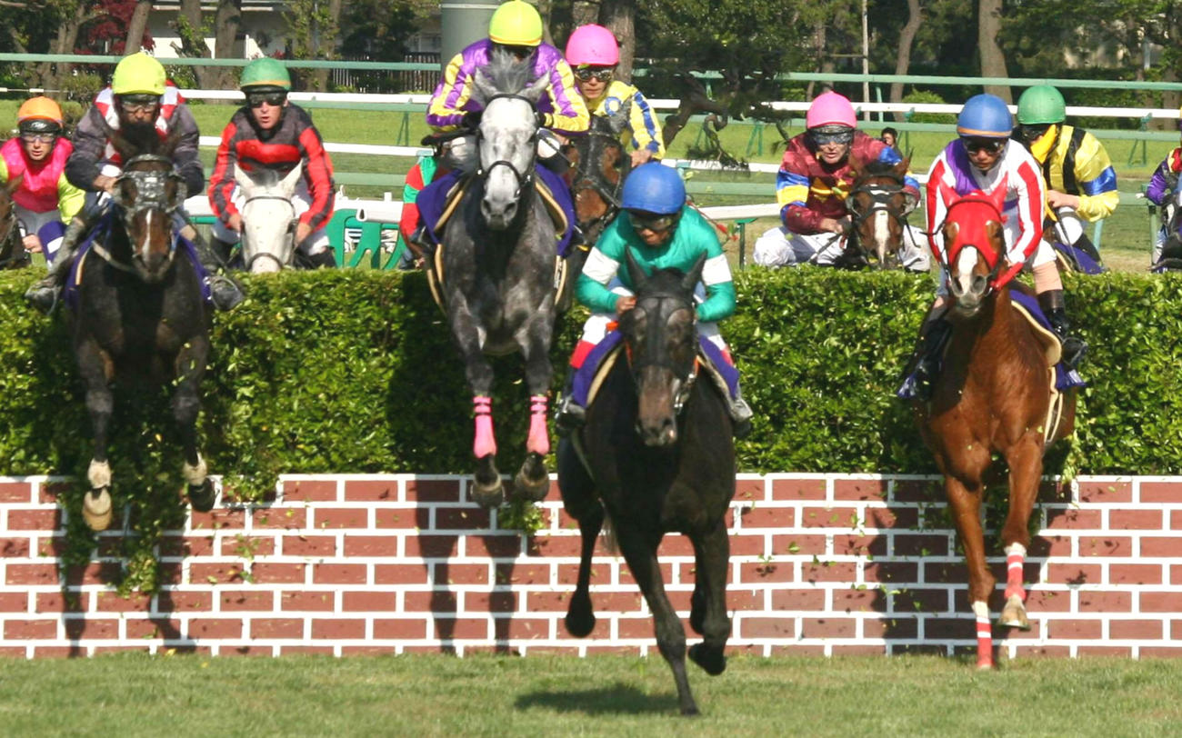 07年中山グランドJを制し3連覇を達成したカラジ（中央）