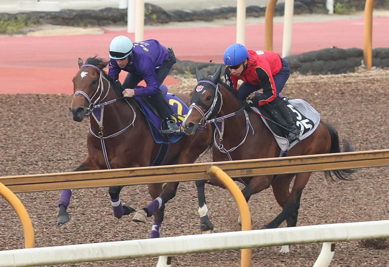 ルメール騎手を背にシルヴァーデューク（右）と併せ馬で追い切るファントムシーフ（撮影・白石智彦）