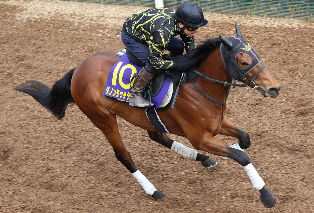坂路で併せ馬に大差先着するダノンタッチダウン