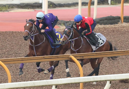 ルメール騎手を背にシルヴァーデューク（右）と併せ馬で追い切るファントムシーフ（撮影・白石智彦）