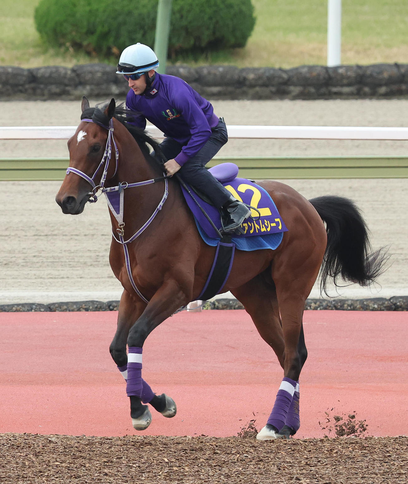 C・ルメール騎手を背に馬場入りするファントムシーフ（撮影・白石智彦）