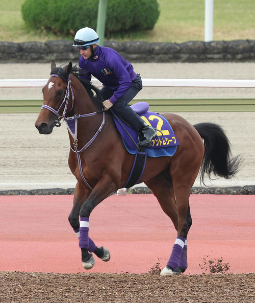 C・ルメール騎手を背に馬場入りするファントムシーフ(撮影・白石智彦)