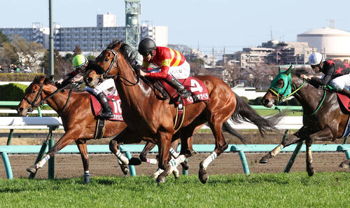 スプリングSを制したベラジオオペラと横山武騎手(中央)(2023年3月19日撮影)