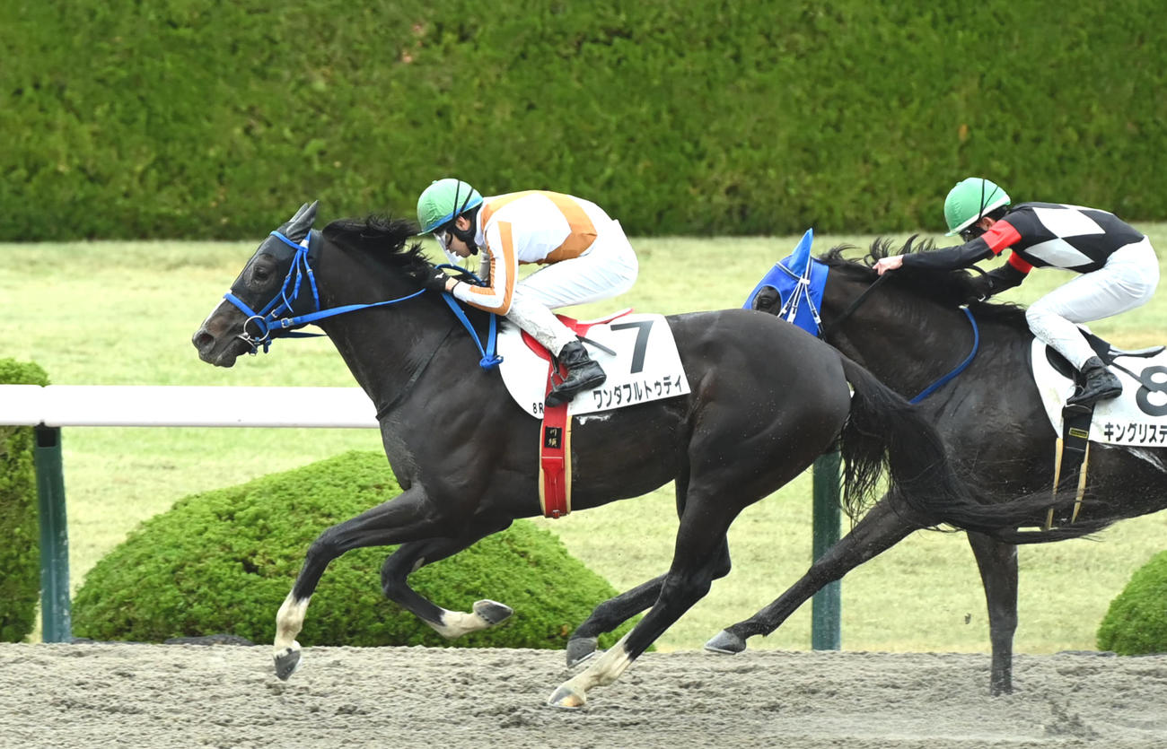 3月26日、4歳上1勝クラスを制したワンダフルトゥデイ