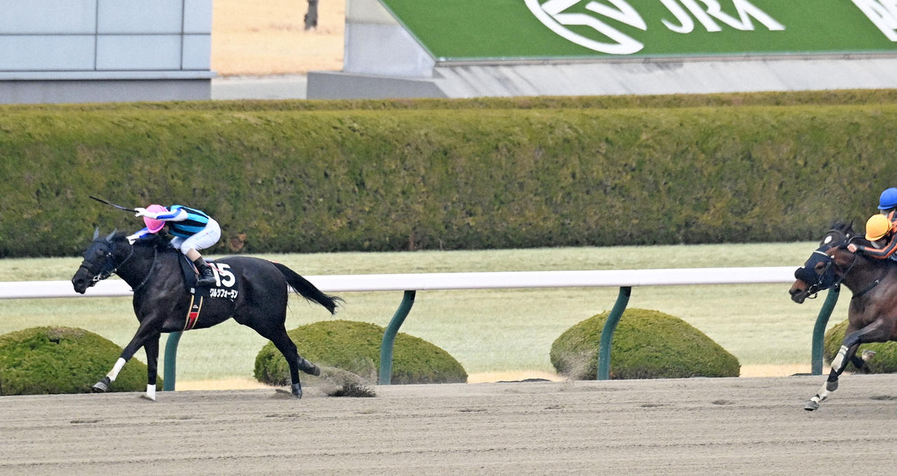 播磨Sを制したワルツフォーランと酒井騎手
