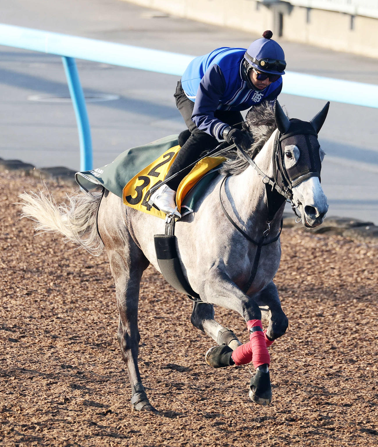 ウインピクシス（2023年4月19日撮影）