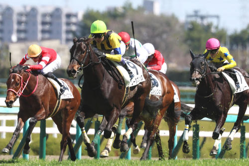 3月19日、阪神での未勝利戦を制したソーダズリング