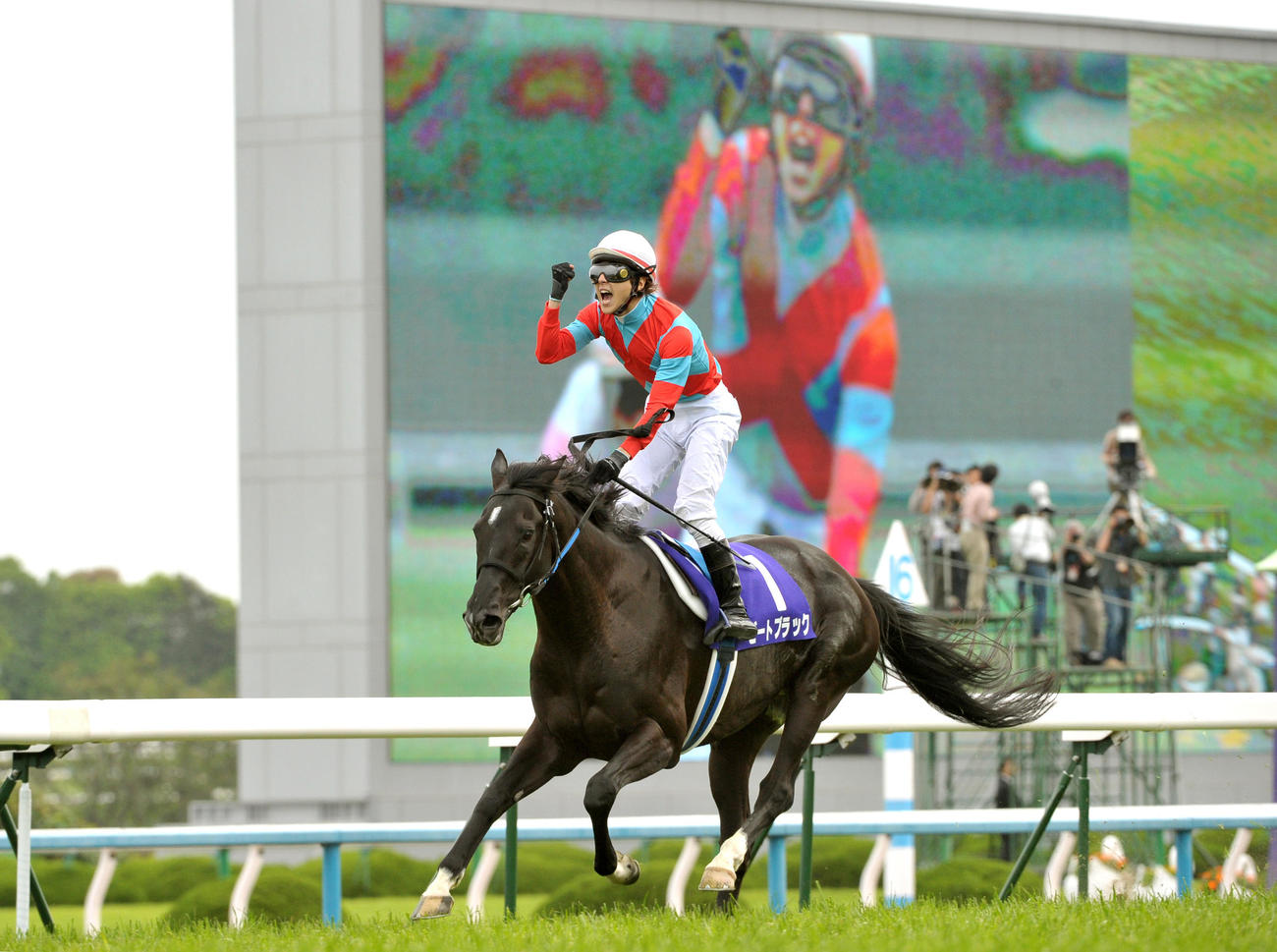 天皇賞・春を制したビートブラック（2012年4月29日撮影）