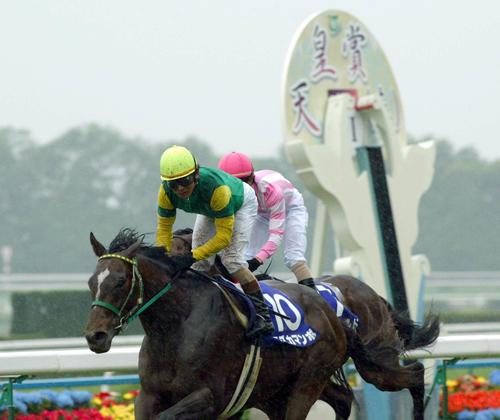 天皇賞・春を制したスズカマンボ（2005年5月1日撮影）