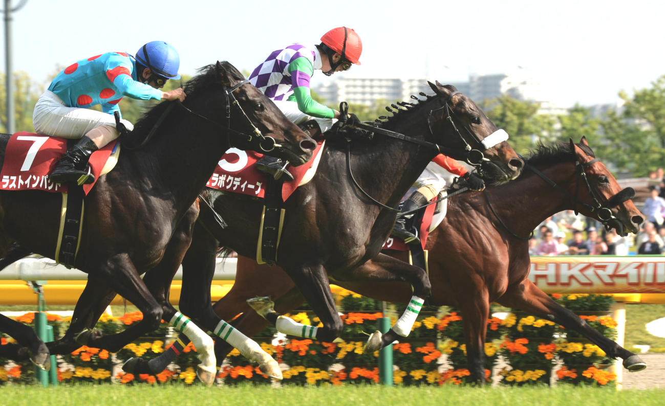 13年青葉賞を制したヒラボクディープと蛯名騎手（中央）。右は2着アポロソニック(右)