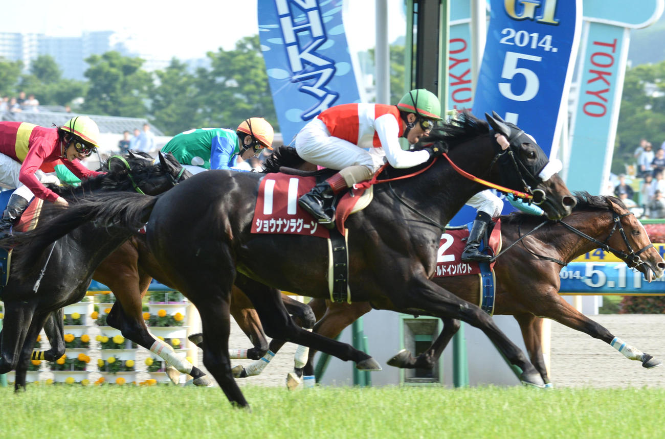 14年青葉賞を制したショウナンラグーンと吉田豊騎手