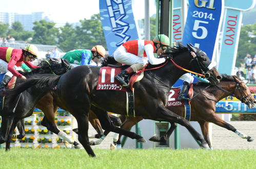 14年青葉賞を制したショウナンラグーンと吉田豊騎手