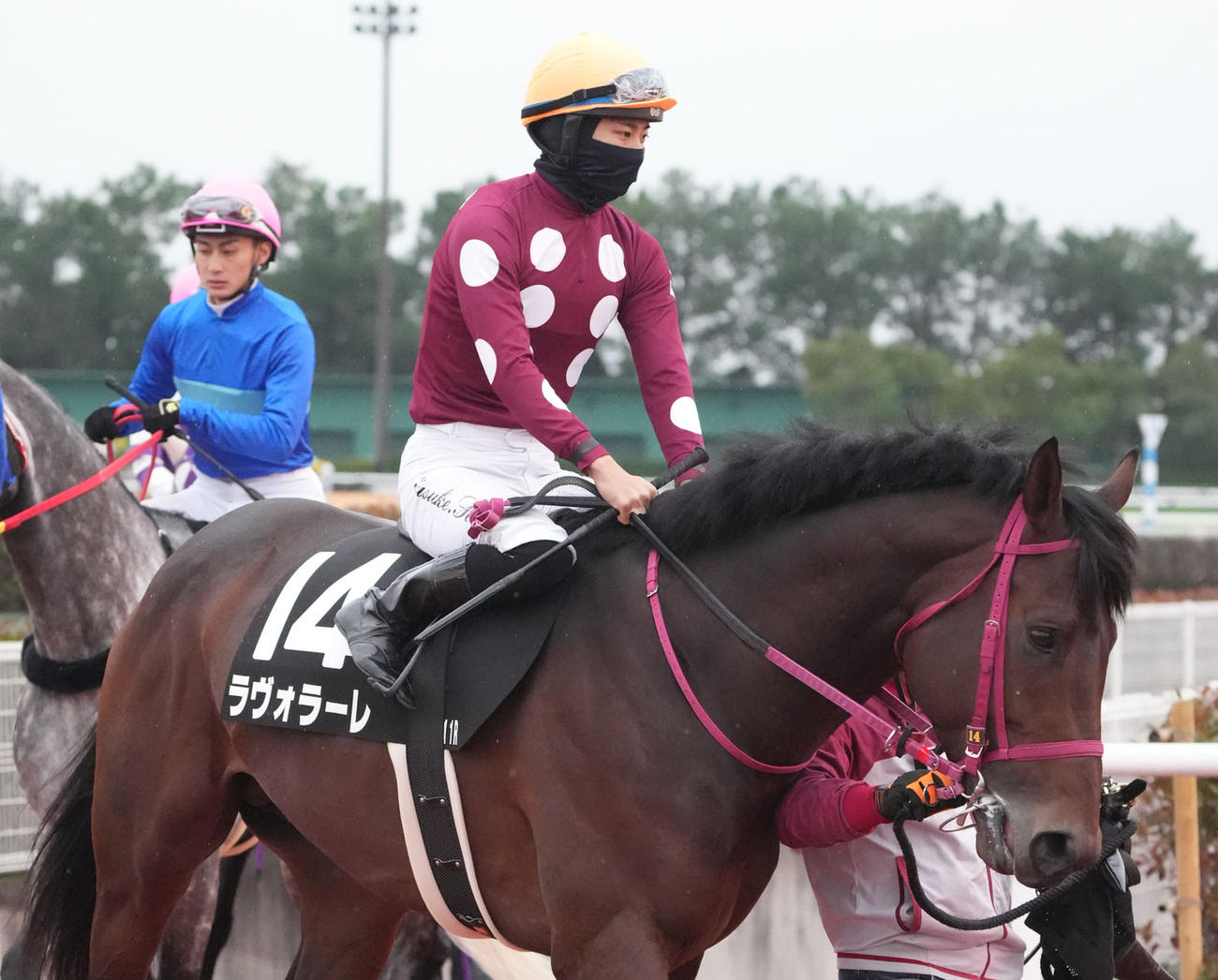 ラヴォラーレ