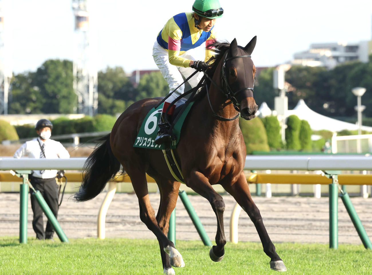 アルテミスS3着のアリスヴェリテと田辺騎手（2022年10月29日撮影）