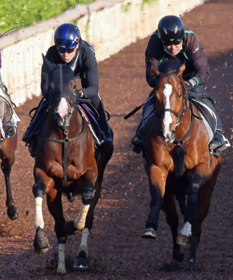 坂路でリレーションシップ（右）と併せたドルチェモア