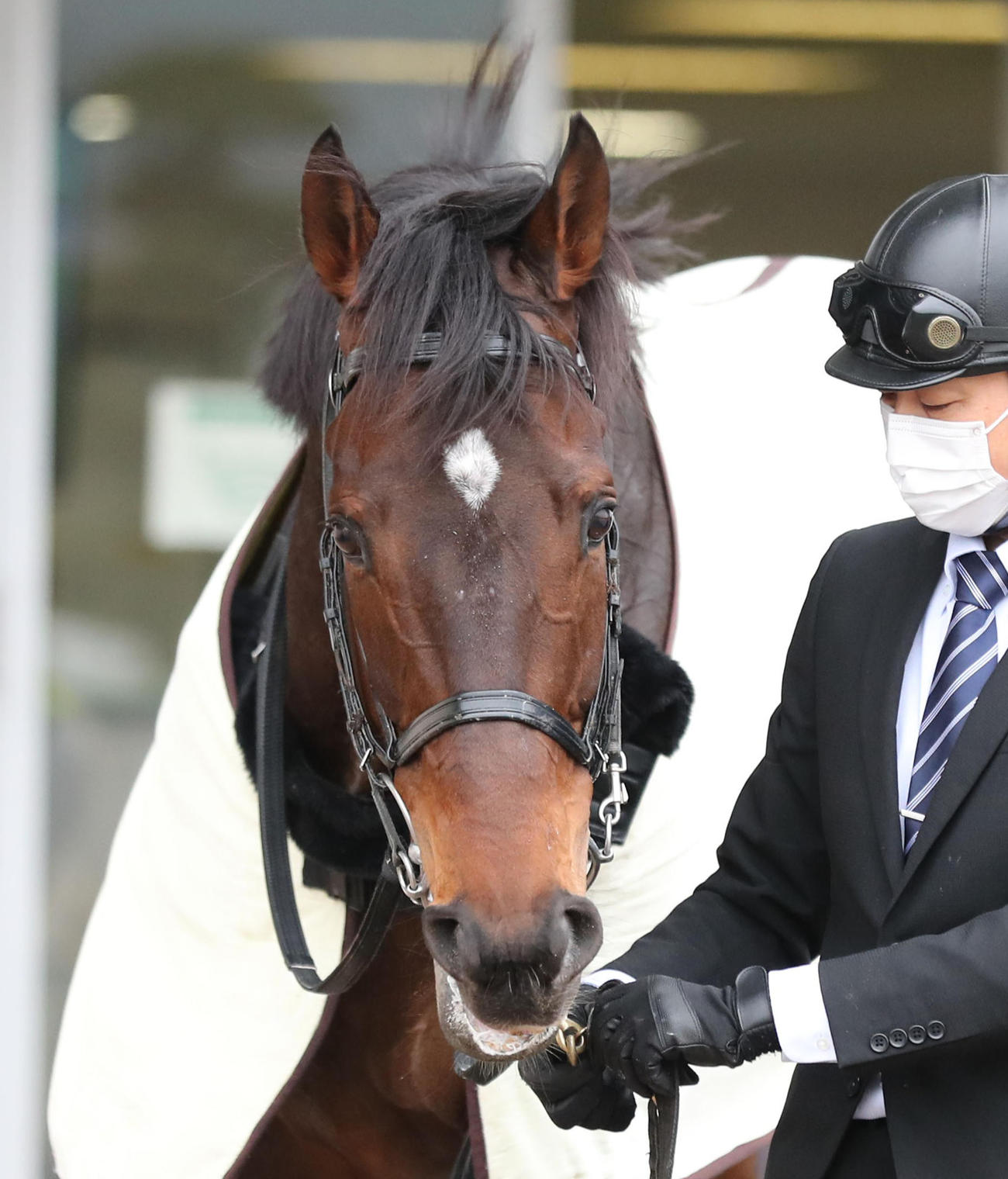 1月22日、障害初勝利を挙げたリアム（2023年1月撮影）