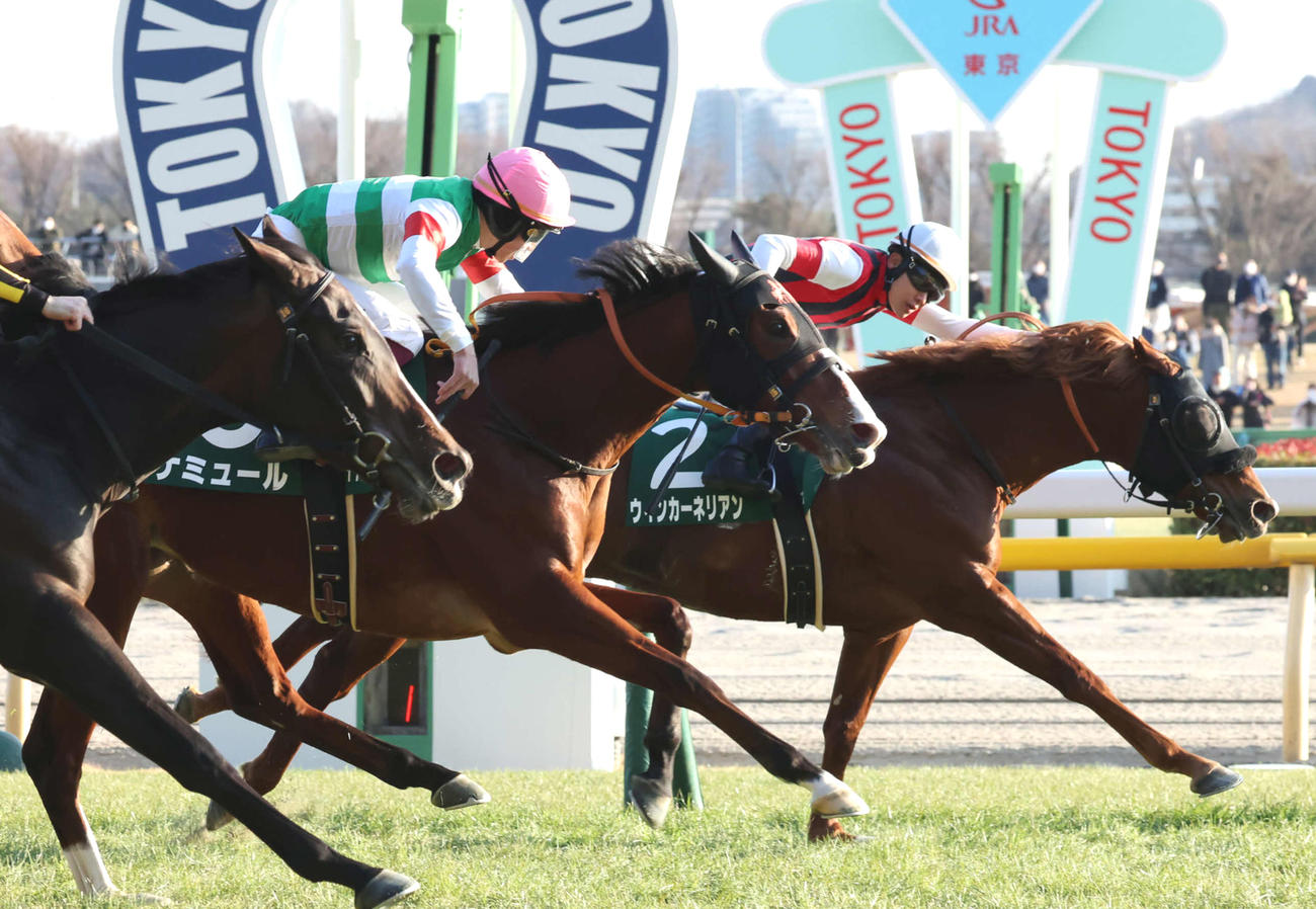 2月5日、東京新聞杯2着に敗れたナミュール（右から2頭目）