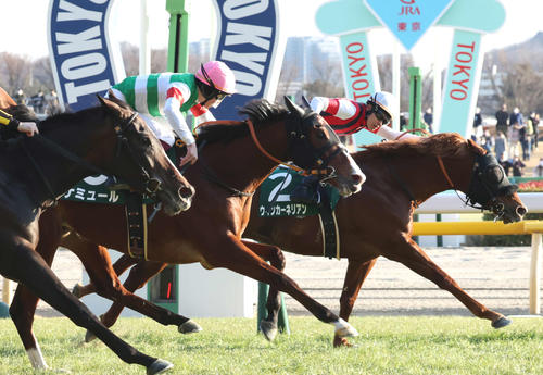 2月5日、東京新聞杯2着に敗れたナミュール(右から2頭目)