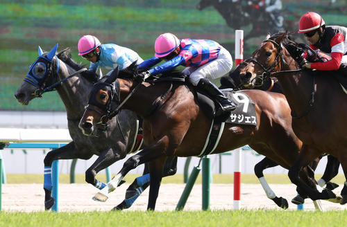 4月22日、比良山特別を制したサジェス(中央)