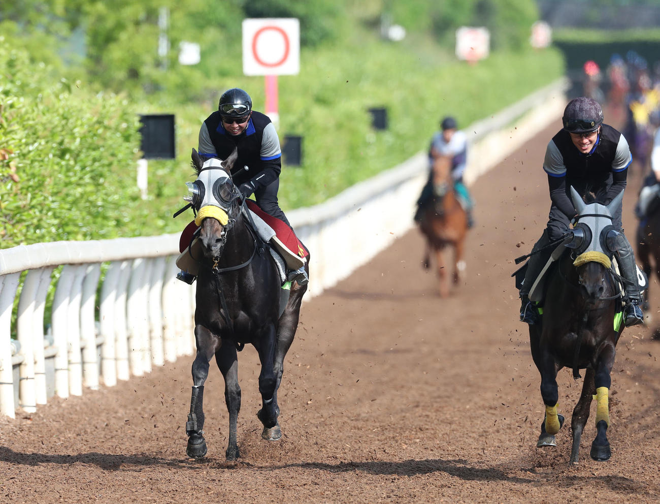 坂路を併せ馬で追い切るコナコースト（左）（撮影・白石智彦）
