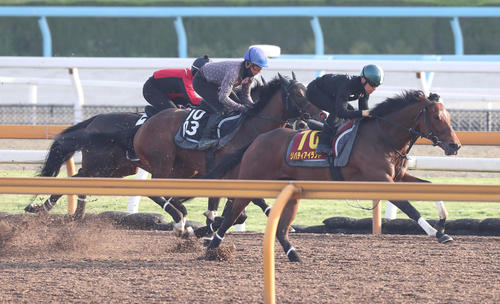 川田騎手を背にサルファーコスモス（左）、ベルシャンブル（中央）と併せて追い切るリバティアイランド