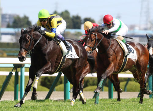 3月19日、阪神未勝利戦を制したソーダズリングと武豊騎手