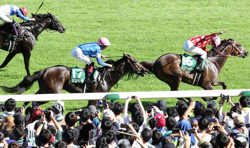 昨年のアイビスSD2着に入ったシンシティ（右から2頭目）。右は勝ったビリーバー