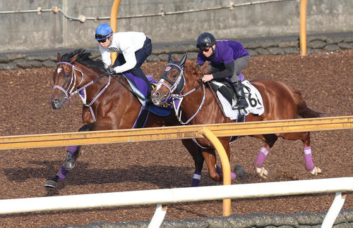 武豊騎手を背にCウッドをソリタリオ（右）と併せ馬で追い切るファントムシーフ（撮影・白石智彦）