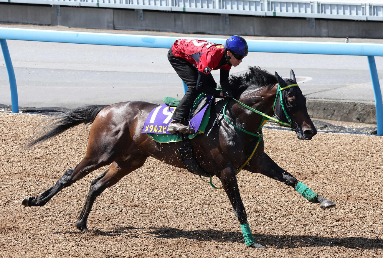 メタルスピードは津村騎手を背に美浦ウッドで追い切られた（撮影・丹羽敏通）