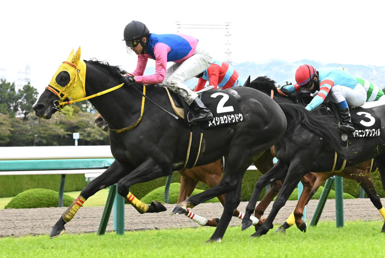 4月15日、千種川特別を制したメイショウドウドウ
