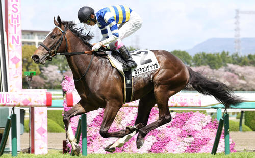 4月8日、3歳1勝クラスを制したカンチェンジュンガ
