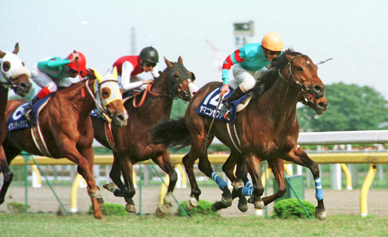 93年安田記念を制したヤマニンゼファー（右）。左は2着イクノディクタス
