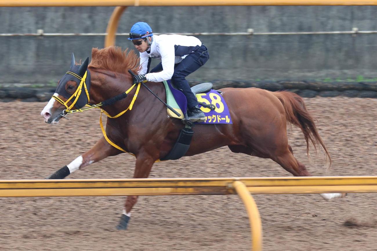 武豊が騎乗し、リズム良くCWコースを駆け抜けるジャックドール