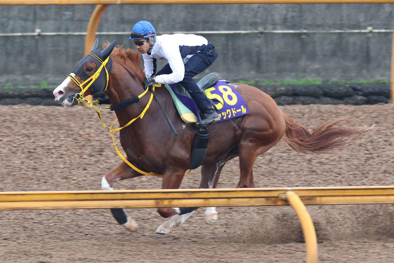 武豊が騎乗し、リズム良くCWコースを駆け抜けるジャックドール