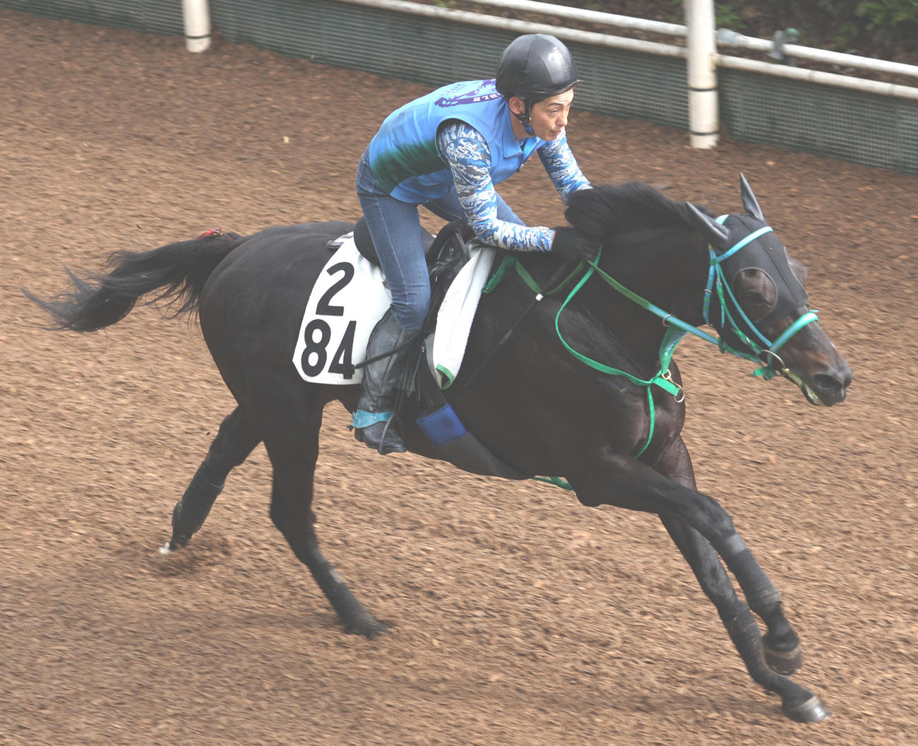坂路で追い切るエアファンディタ