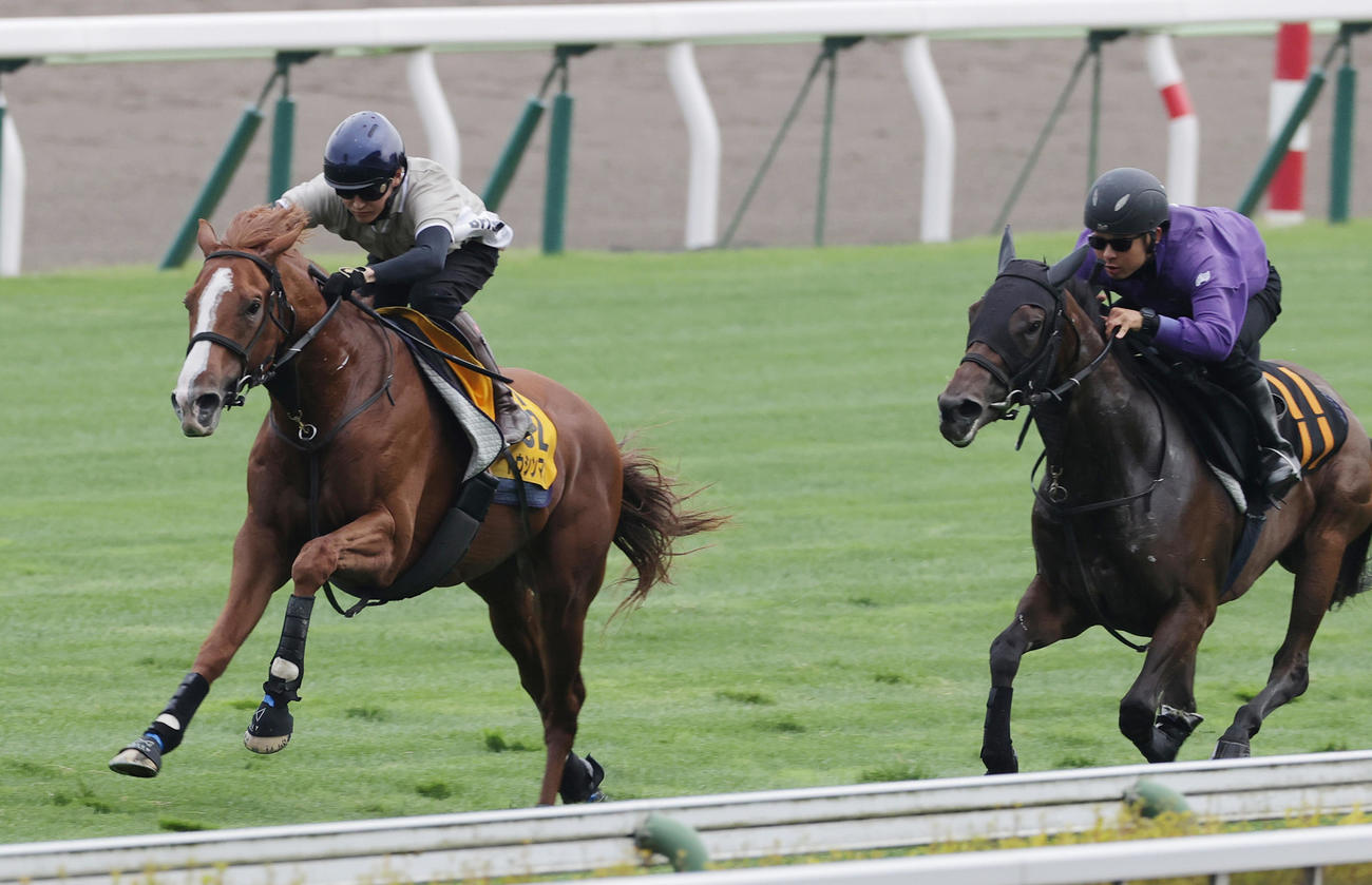 鮫島駿騎手を背にトウシンマカオ（左）は函館芝コースを併せ馬で追い切られた