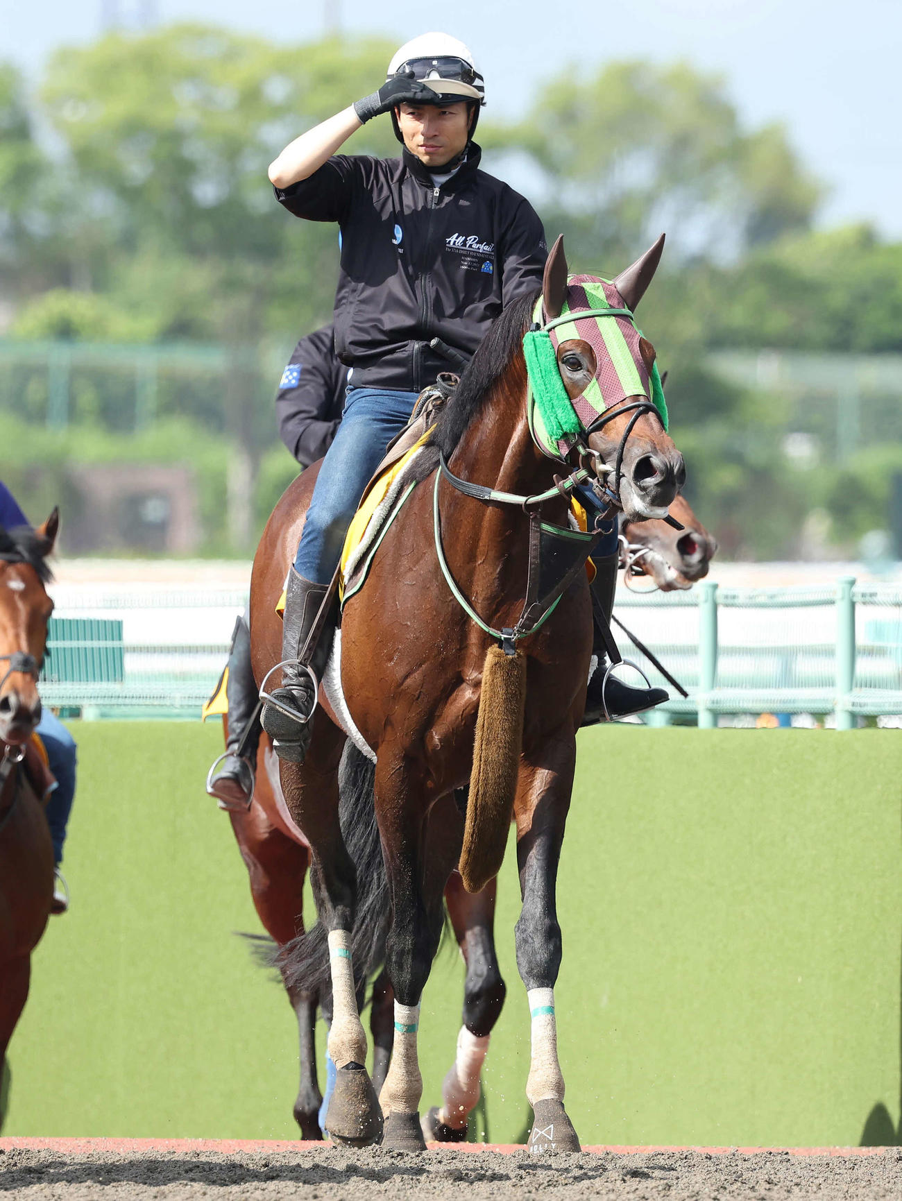 追い切りを終えて馬場を出るピースワンパラディと大野騎手（撮影・丹羽敏通）