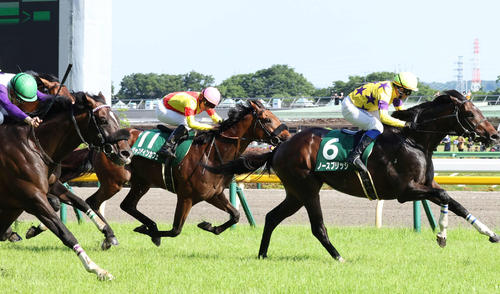 昨年のエプソムCで4着に敗れたジャスティンカフェ(右から2頭目)