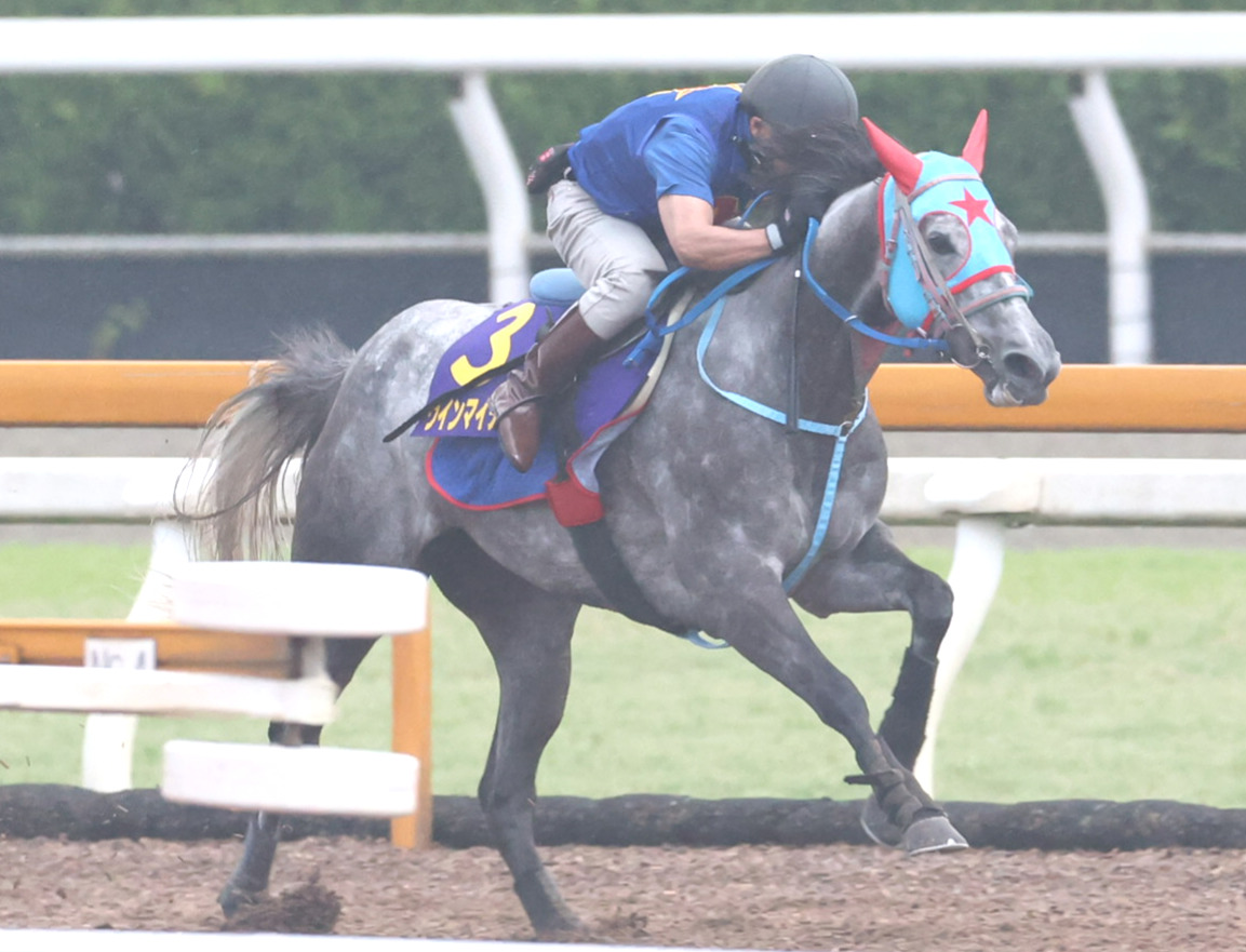 ウッドコースで追い切るウインマイティー