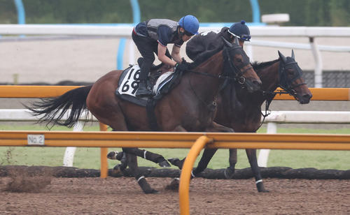ウッドコースを併せ馬で追い切るビッグリボン