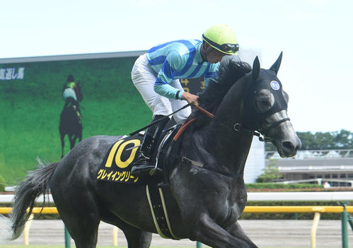 グレイイングリーンと岩田望来騎手(2022年撮影)