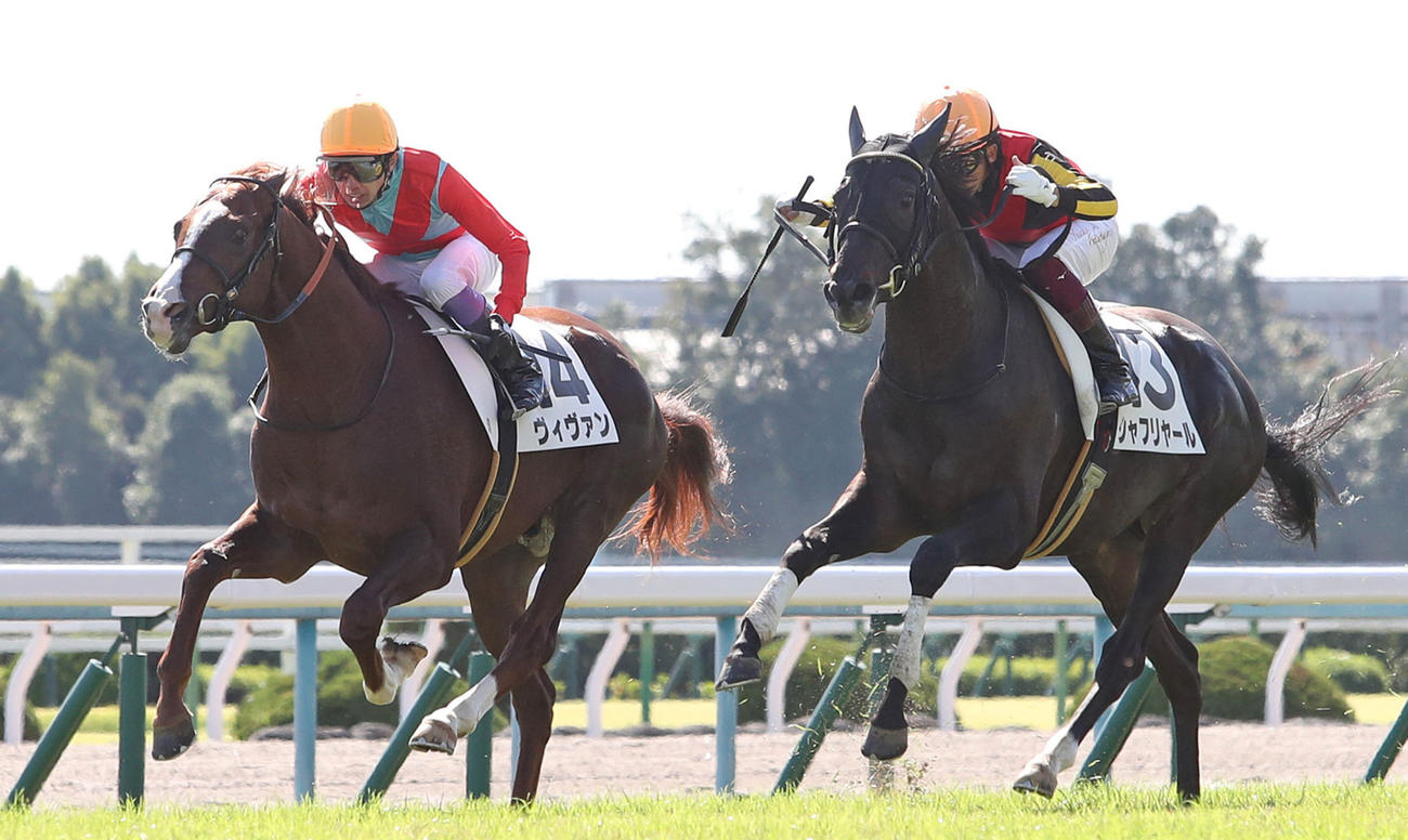 20年10月、新馬戦でシャフリヤール（右）との競り合いのすえ2着に敗れたヴィヴァン