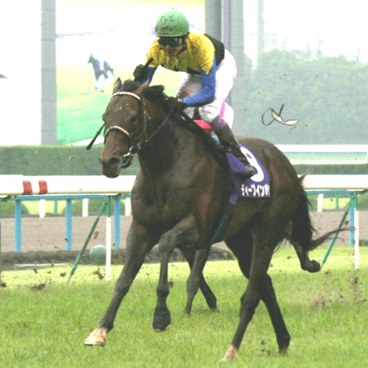 2006年月6月25日・宝塚記念、直線で勝利を確信したディープインパクトの武豊騎手はゴーグルを飛ばしガッツポーズ