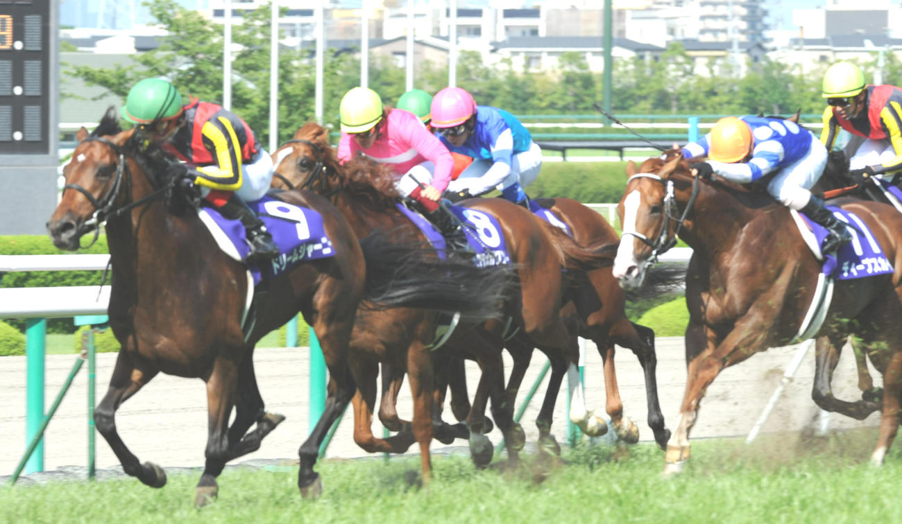 2009年6月28日、宝塚記念1着ドリームジャーニー（左）、2着サクラメガワンダー（中央）、3着ディープスカイ（右）