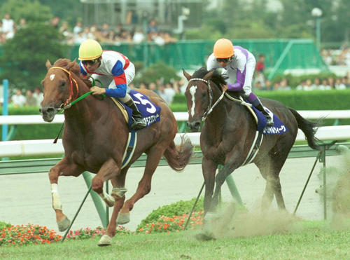 1999年7月11日・宝塚記念を制したグラスワンダー（左）、2着スペシャルウィーク