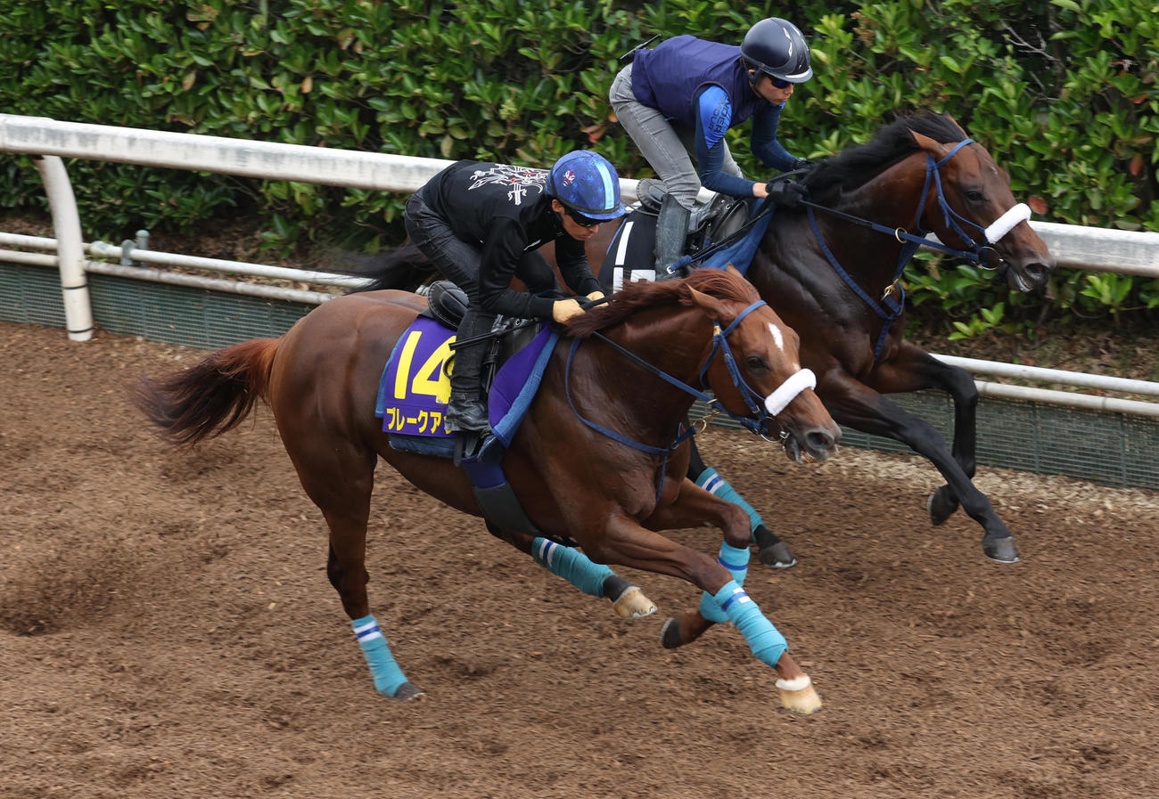 川田騎手を背に坂路にて併せ馬で追い切るブレークアップ（手前）