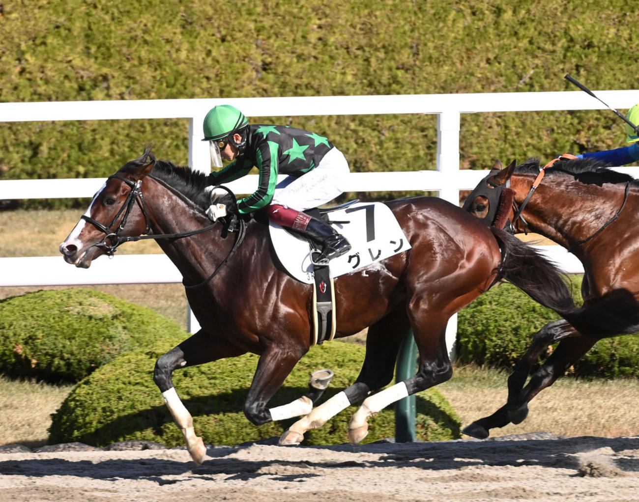 22年12月、阪神2歳未勝利を制したグレン
