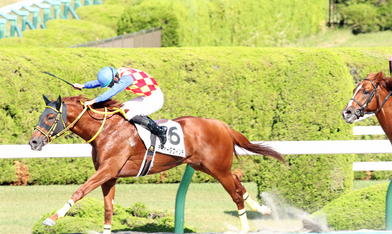 21年10月、阪神1勝クラスを制したテーオーダヴィンチ